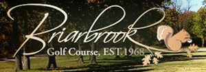 4th Annual Golf Tournament @ Briarbrook Golf Course
